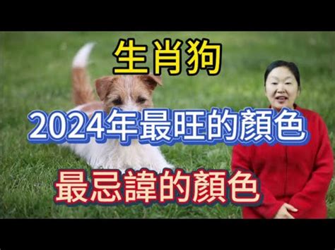 屬狗的顏色|西元2024屬狗 生肖流年運勢!民國113年肖狗生人奉安。